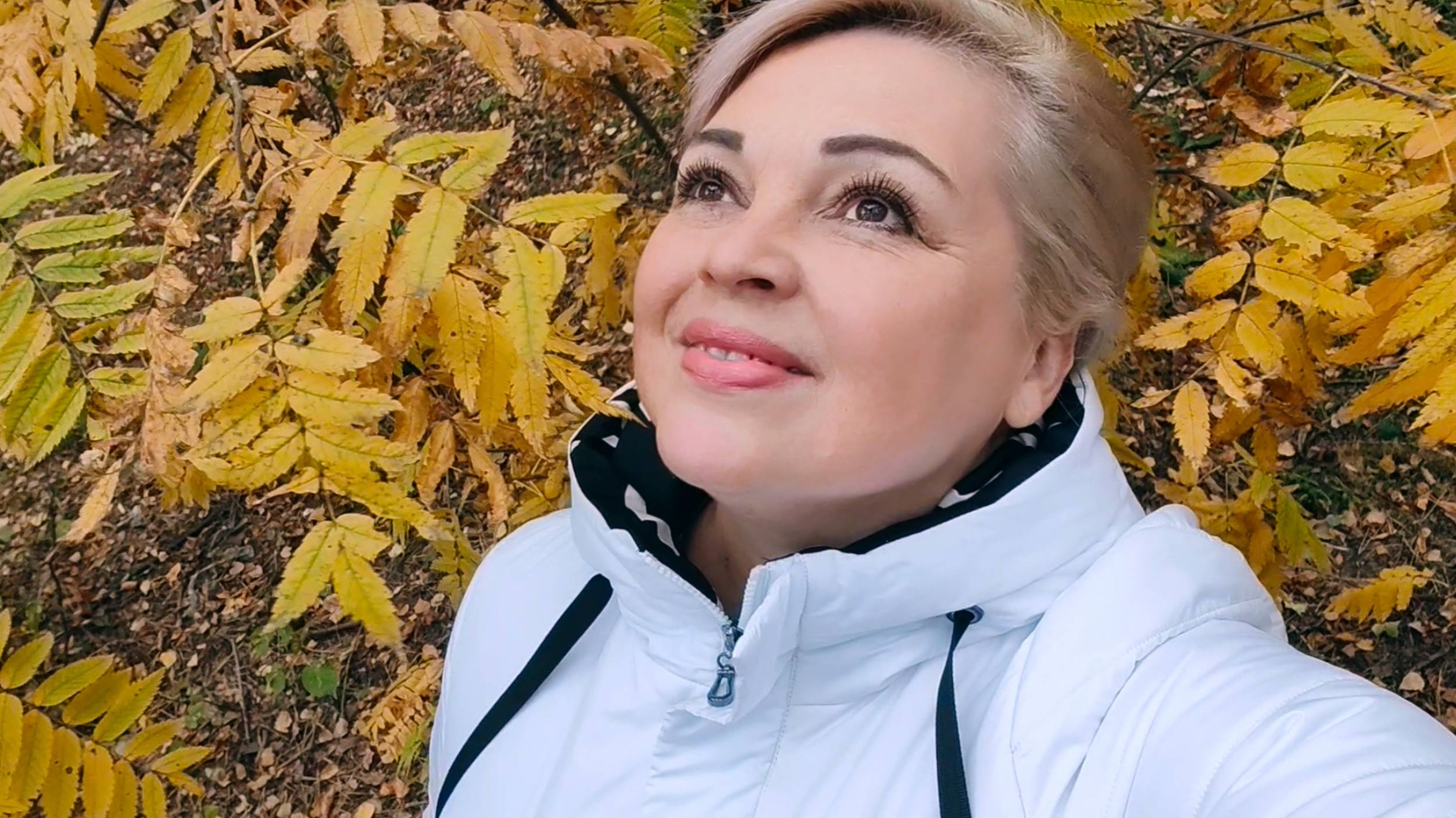 ОСЕННИЙ ЛЕС ПРЕКРАСЕН! смотреть онлайн