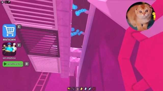 УБЕГАЮТ ОТ СЕМЬИ БАРРИ ВОНЮЧЕК В РОБЛОКС! PRISON RUN! (Obby)