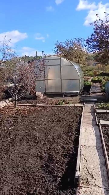 Пономорева смотреть онлайн