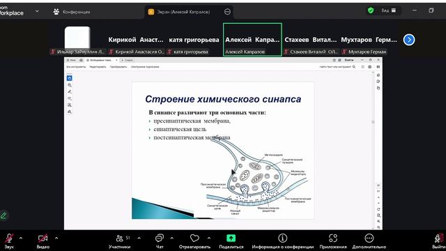 физиология синапсы 1 смотреть онлайн