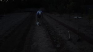 Таймлапс: Сажаем огород! Быстрая посадка овощей