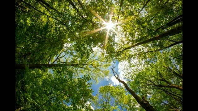 Владимир Мавродиев. У памятника Есенину смотреть онлайн