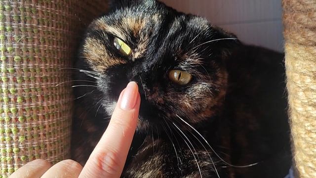 балконный балдёж смотреть онлайн