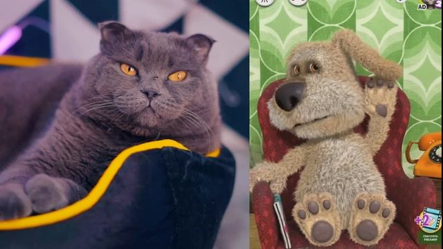 ГОВОРЮ С БЕНОМ | ГОВОРЯЩИЙ БЕН ЛЮБИТ МЕНЯ !? ОН РАССКАЗАЛ ПРАВДУ о ВИКЕ! смотреть онлайн