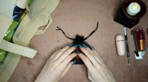 АСМР Покупки с Wb, Ali, FixPrice и подарки•Видео для сна и расслабления•Шёпот от которого уснешь| ✨