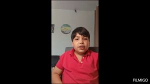 разбор муравьев вида лазиус нигер