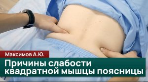 Диагностика квадратной мышцы поясницы и причины её слабости. Максимов А.Ю.