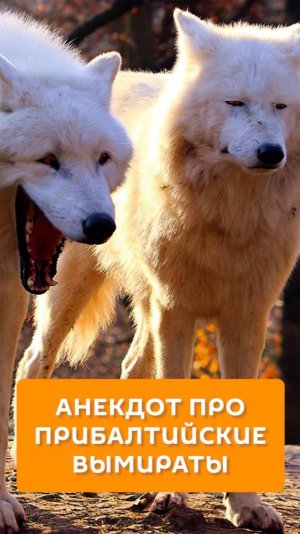 Анекдот про Прибалтийские Вымираты