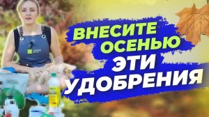 КАКИЕ УДОБРЕНИЯ ВНОСИТЬ ОСЕНЬЮ?