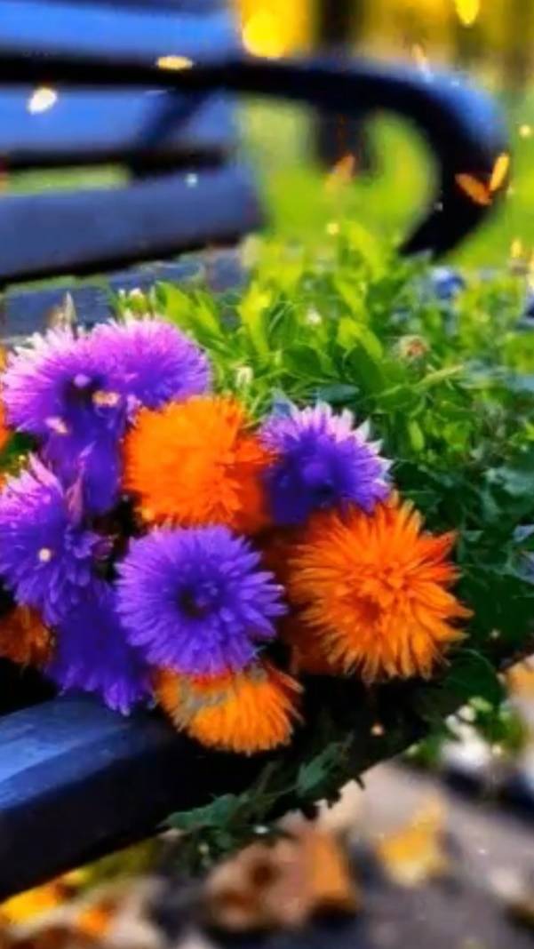 Жить нужно ... смотреть онлайн