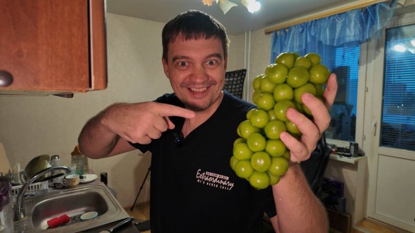 ОГО КИТАЙСКИЙ ГИГАНТСКИЙ ВИНОГРАД