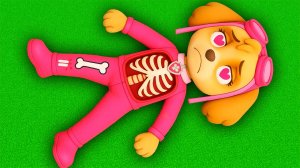 Я сделал ОПЕРАЦИЮ СКАЙ ЩЕНЯЧИЙ ПАТРУЛЬ В МАЙНКРАФТЕ