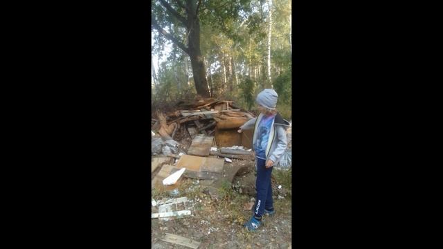 Лес