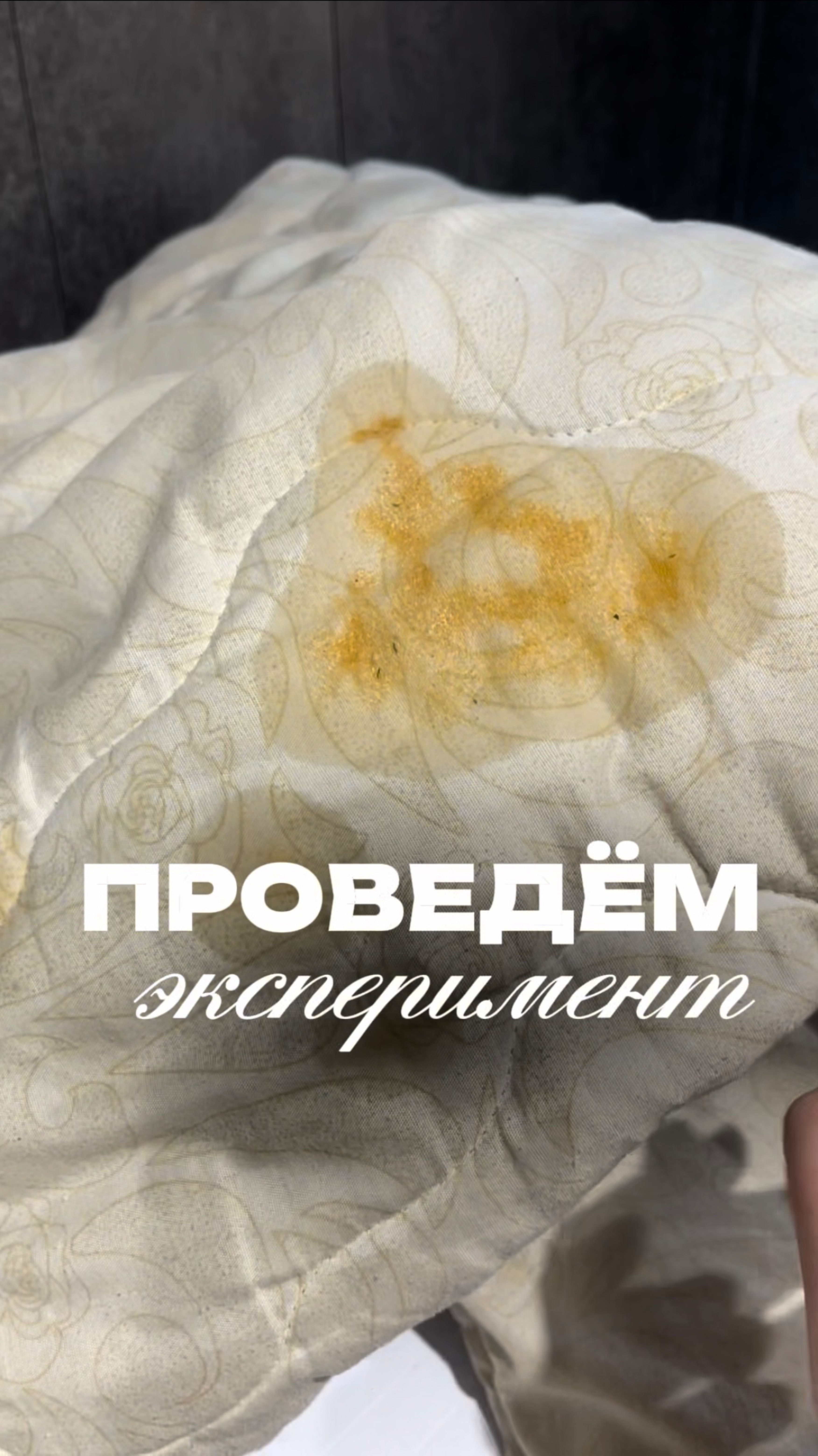 Copy_5CFEAC5C-B645-4540-8BBC-53F2C61996E7