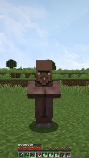 Теперь мне жалко этого жителя! #сарол #minecraft