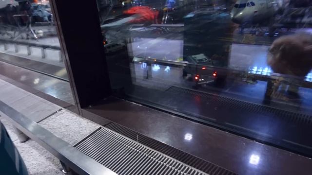 СОБАКА Впервые ЛЕТИТ в САМОЛЕТЕ | РЕАКЦИЯ ПЕСИКА | ПУТЕШЕСТВИЯ с Питомцами - Переезд с Собакой смотреть онлайн