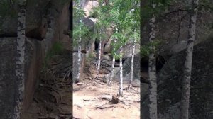 Красноярские Столбы