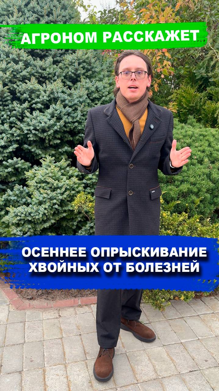 Осенняя обработка хвойных от заболеваний смотреть онлайн