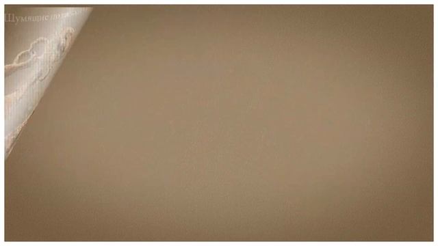 TURGENEV - история, археология, котлован дома