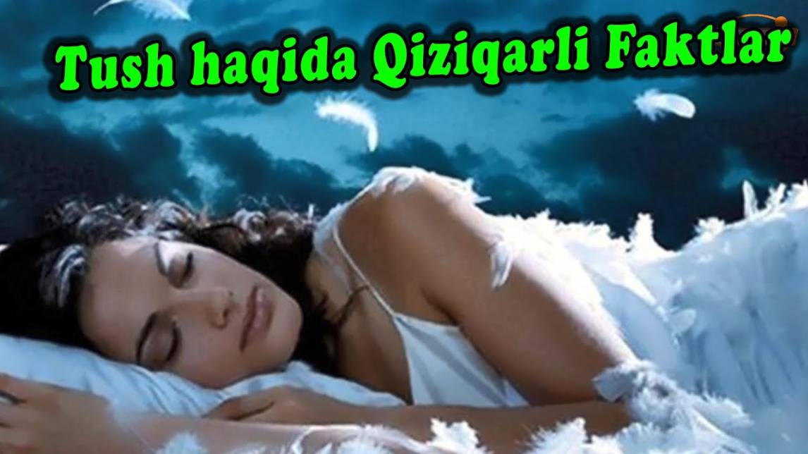 Inson Tushi Haqidagi Qiziqarli Faktlar, Tushlaringiz Nima Haqida - Dunyoning Sirli Bashoratlari !!!