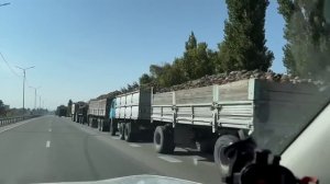 Отдых свежий воздух. Рыба Форель. Сахарная свёкла.