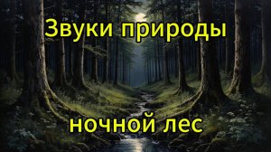 Звуки ночного леса. Природа, лес, птицы, релакс