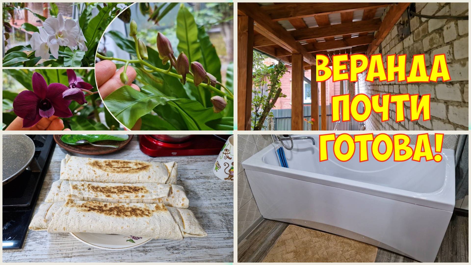 Орхидеи. Новости. Всё налаживается! смотреть онлайн