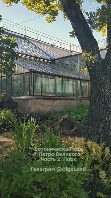 Ботанический сад Петра Великого