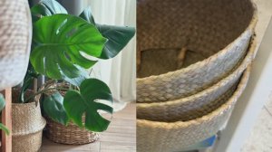 🩷 МАГНИТ КОСМЕТИК ВАУ 🩷 ВЫШЛА С МЕШКОМ ШИКАРНЫХ ПОКУПОК 😍 Обзор Магнит Косметик и Фамилия