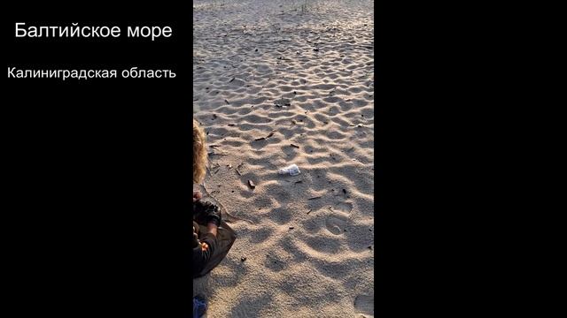 Балтика