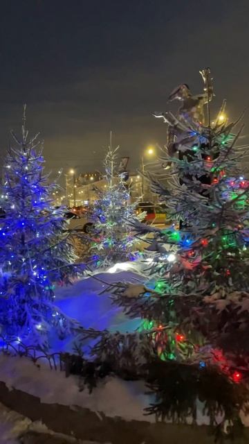 Александр Ткаченко-Моя