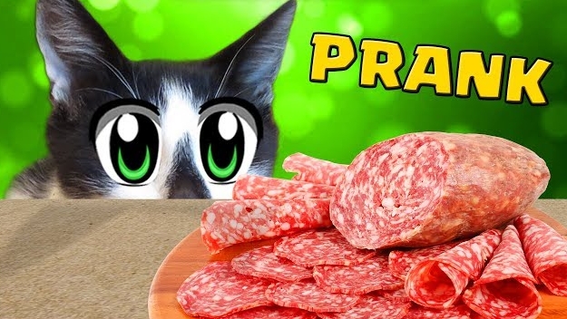 ПРАНКИ НАД КОТАМИ! КОТ МАЛЫШ И КОЛБАСКА! [2018] смотреть онлайн