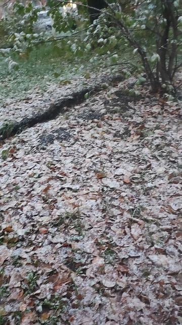 У нас выпал первый ❄ снег! смотреть онлайн