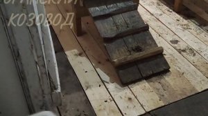 Немного зоопсихологии.