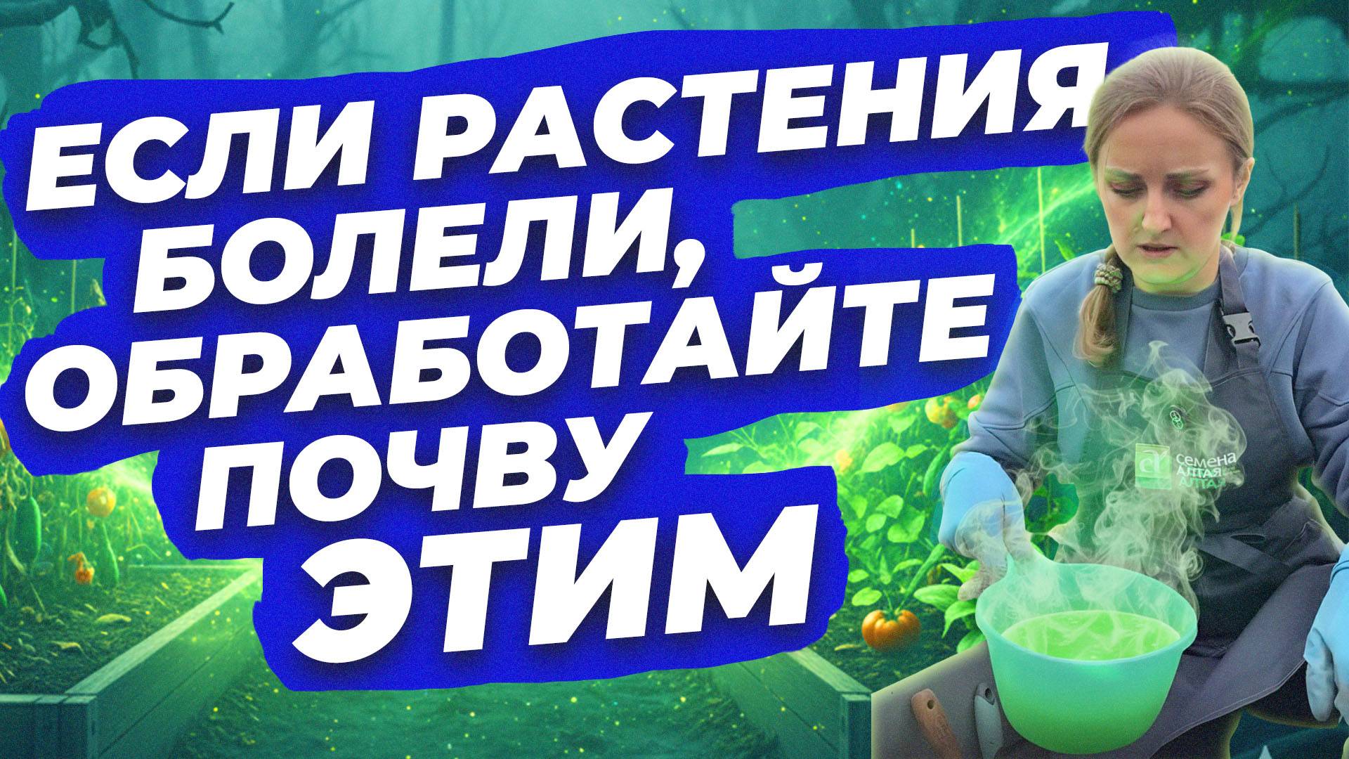 ОБРАБОТКА ПОЧВЫ ПОСЛЕ РАЗЛИЧНЫХ ЗАБОЛЕВАНИЙ смотреть онлайн