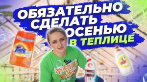 ГОТОВИМ ТЕПЛИЦУ К ЗИМЕ!