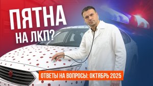 Всё, что вы хотели знать о ПОКРАСКЕ АВТО: ответы на вопросы зрителей. Октябрь 2025