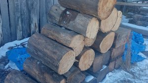 03-10-2025 Бабье лето в Якутске, сегодня. Решил на дачу съездить, маленько поработать.