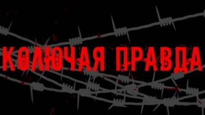 РАССТРЕЛ БЕЗЗАЩИТНЫХ НА ГРАНИЦЕ. Кадры, которые Европа хочет скрыть от мира | Колючая правда
