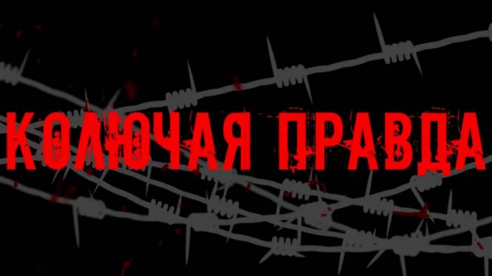 РАССТРЕЛ БЕЗЗАЩИТНЫХ НА ГРАНИЦЕ. Кадры, которые Европа хочет скрыть от мира | Колючая правда