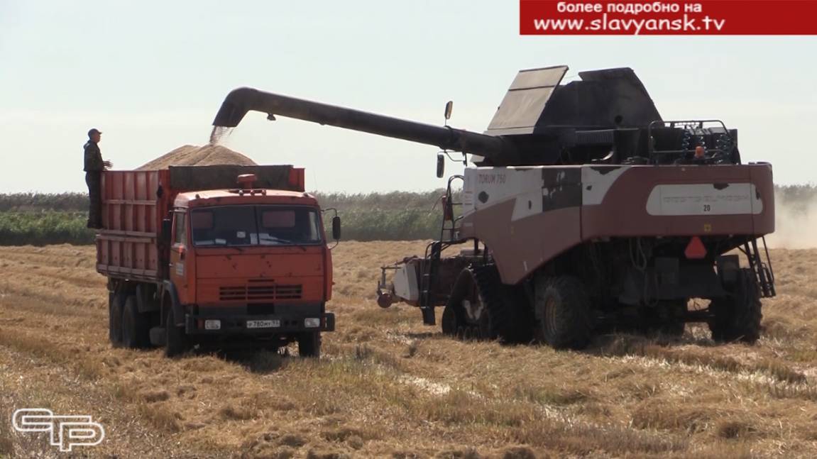 Белое зерно поступает в закрома смотреть онлайн