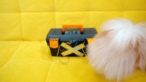 AMONG US В РЕАЛЬНОЙ ЖИЗНИ | КОШКИ И СОБАКА ИГРАЮТ В АМОНГ АС | КТО ПРЕДАТЕЛЬ? КИСА БАТТЕРС?