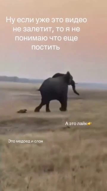 Футбол смотреть онлайн