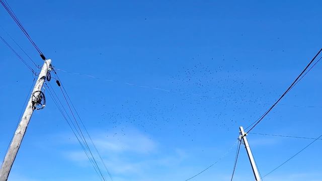 г. Ишим, 3 октября 2025 г. смотреть онлайн