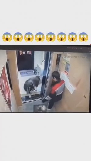 Нападение собаки в лифте 😱