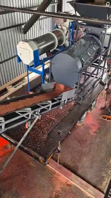 Протравка гороха. 18 тонн в час Нанесение СЗР. Бобовые