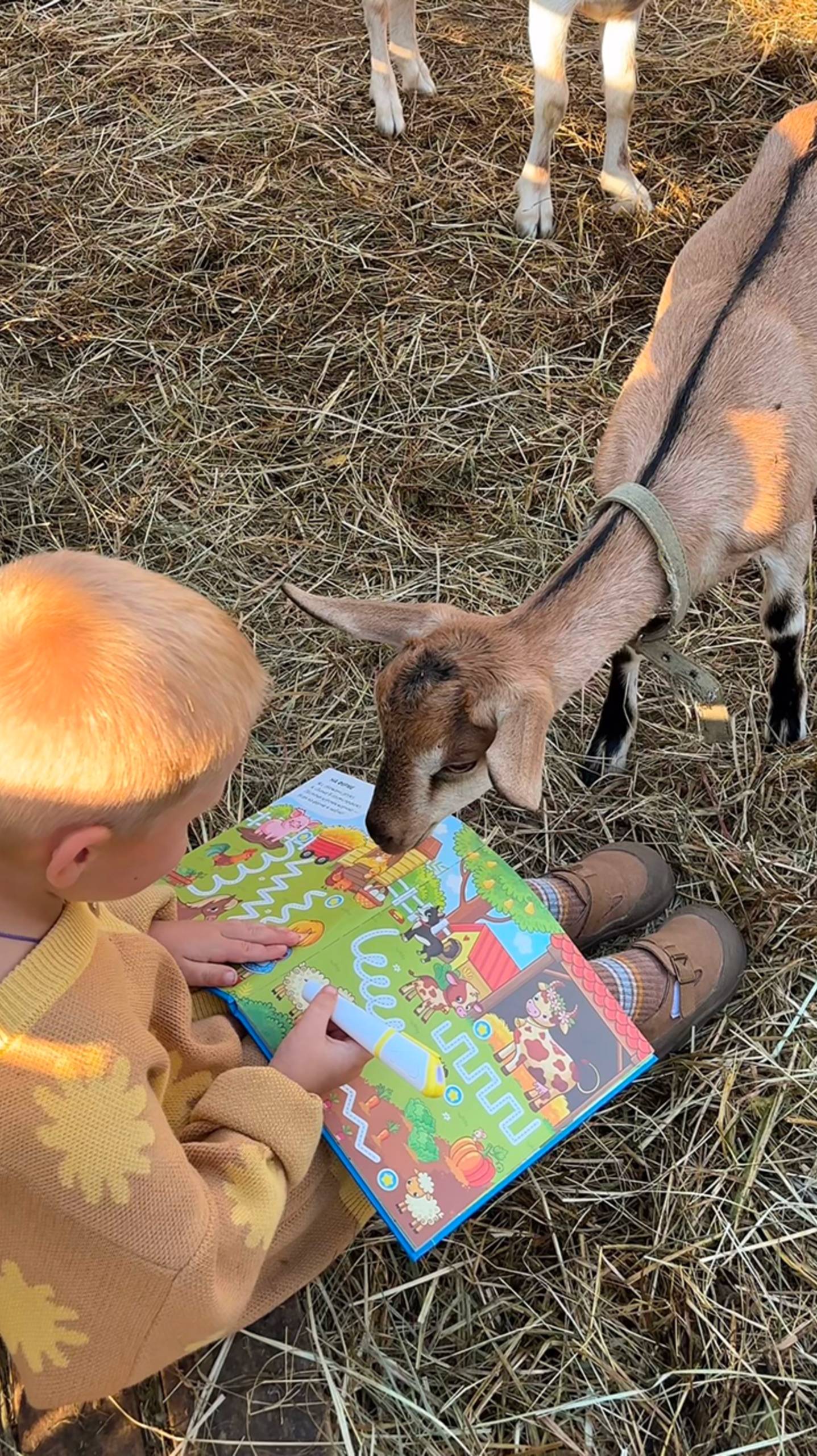 Вместе учиться всегда веселее! 🥰 смотреть онлайн