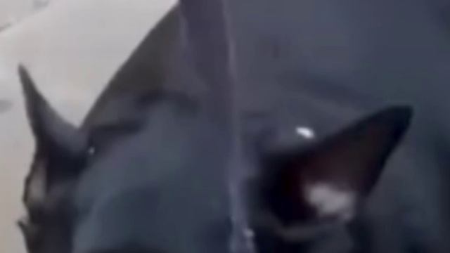 Катали смотреть онлайн