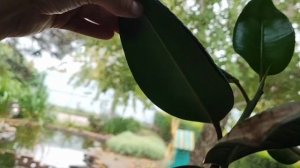 РЕШИЛИ ОТМЕНИТЬ ВСЕ И ПЕРЕИГРАТЬ СВОИ ПЛАНЫ/ МОЙ НАСЫЩЕННЫЙ ДЕНЬ/