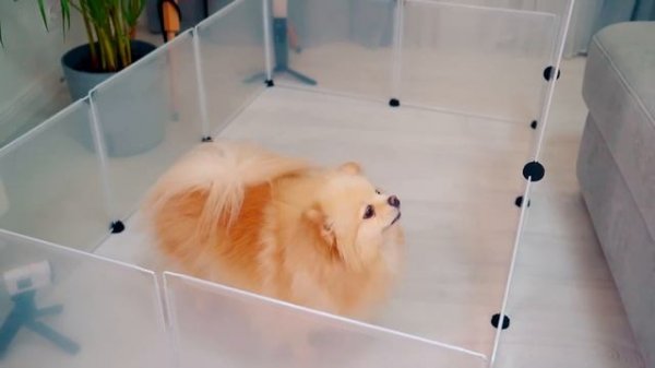 ПОБЕГ ИЗ ТЮРЬМЫ ЧЕЛЛЕНДЖ! КТО ПОСЛЕДНИЙ покинет ТЮРЬМУ Киса Баттерс или Шпиц Элис?